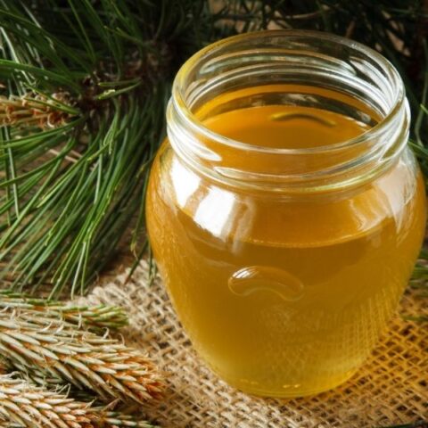 simple syrup with sugar image