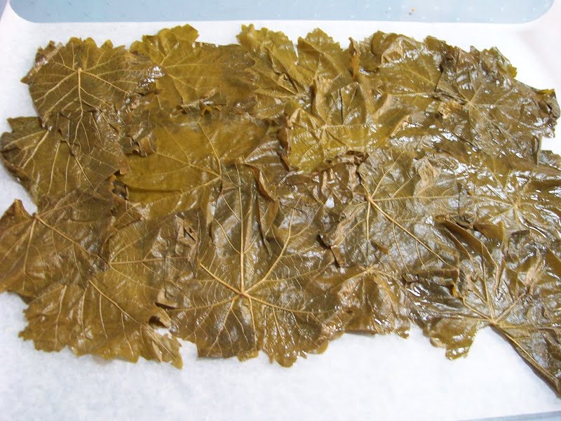 Boiled vine leaves image