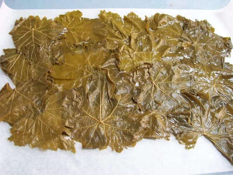 Boiled vine leaves image