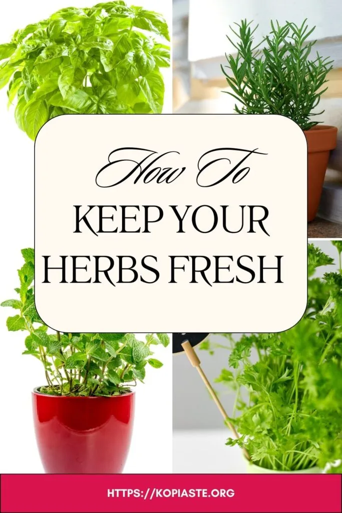 Collage how to keep your hers fresh image