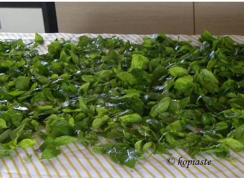 Drying mint 0