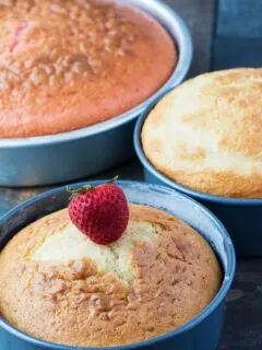 Plain vanilla cake