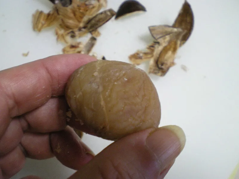 chestnut peeled image