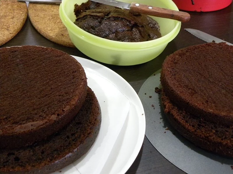 chocolate pantespani sponge cake chocolate sponge cake image