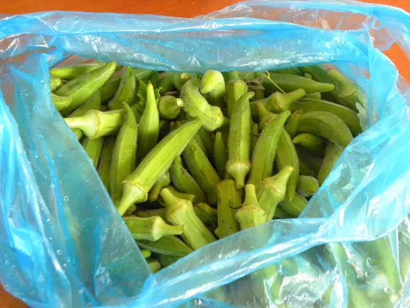 fresh okra mpamies photo