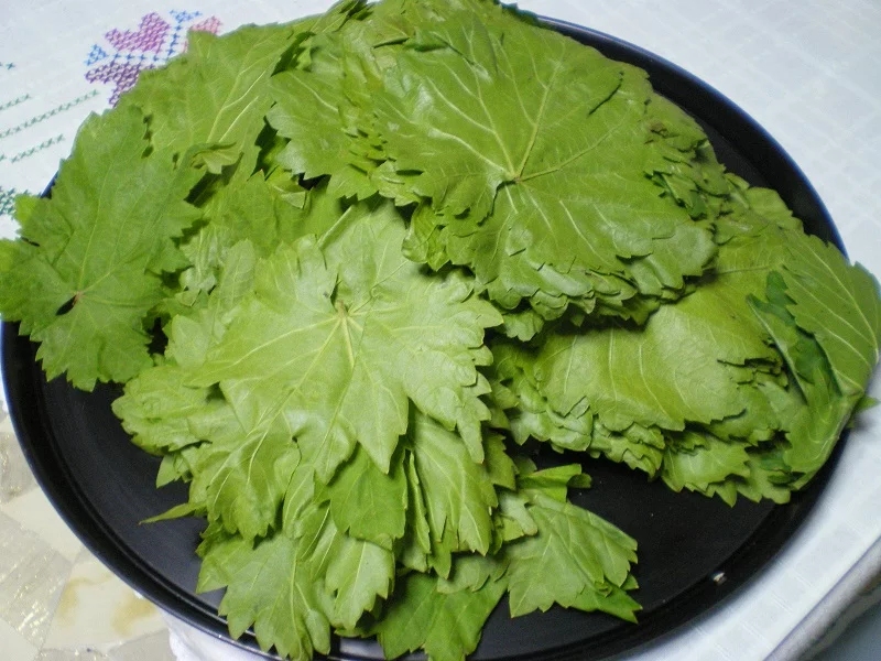 vine leaves image