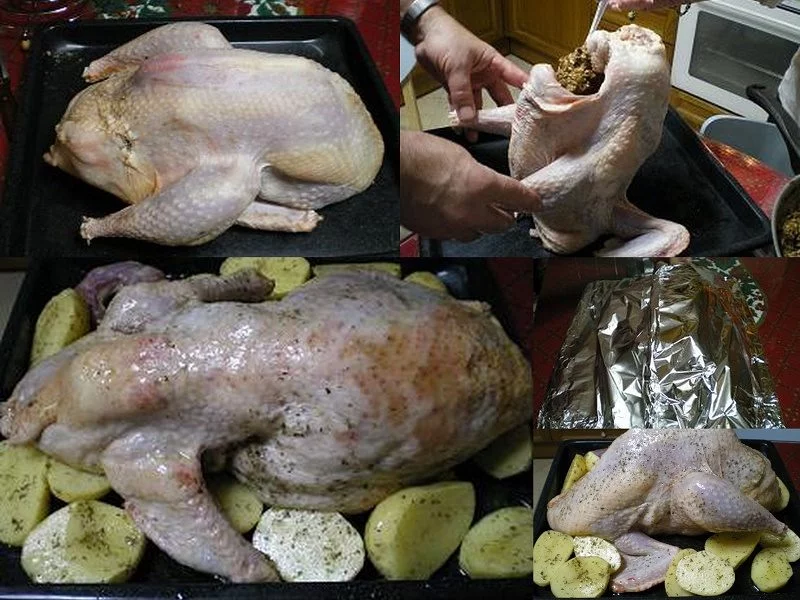 Collage Turkey for stuffing image
