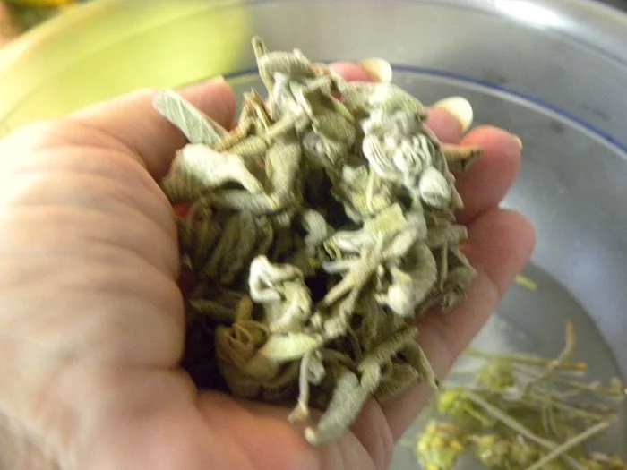 dried sage image