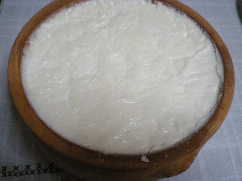 Sheep's ýoghurt image