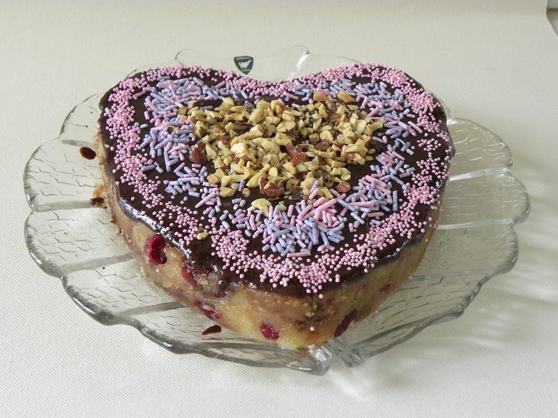 Chocolate halvas with craisins
