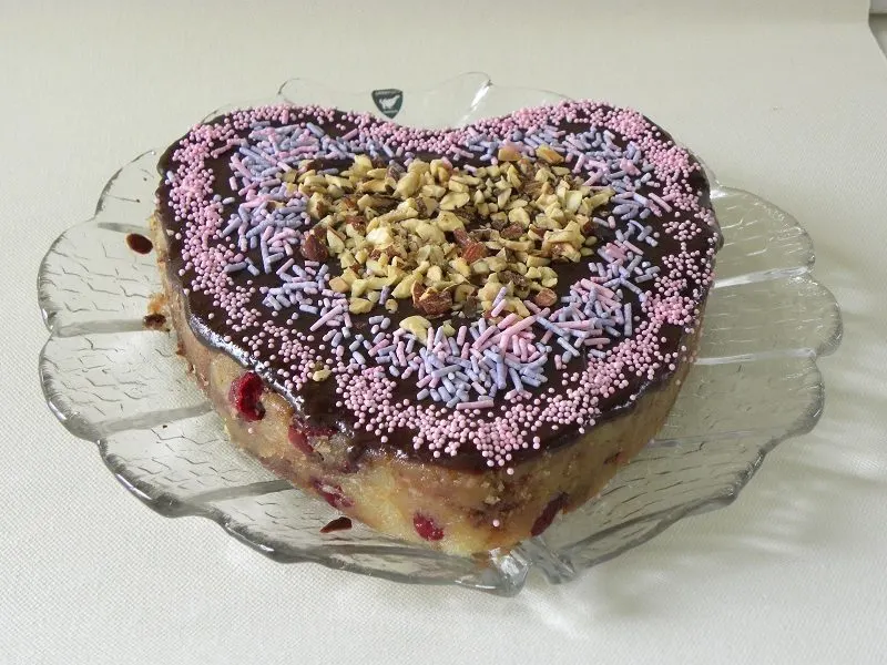 Chocolate halvas with craisins