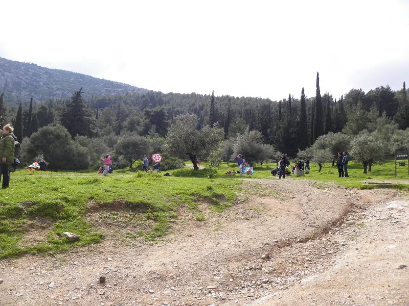People flying kites image