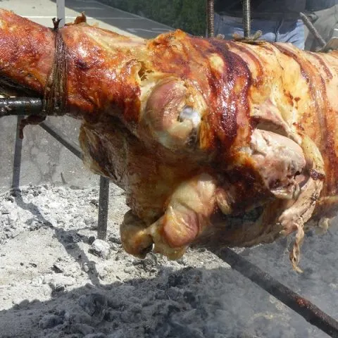 Easter lamb image