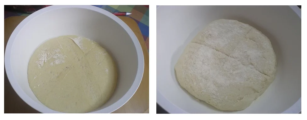 Colalge prozymi phase 3