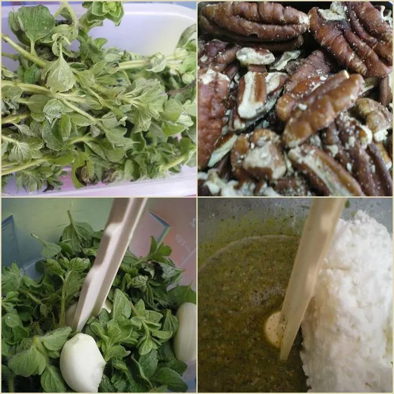 collage making oregano pesto image