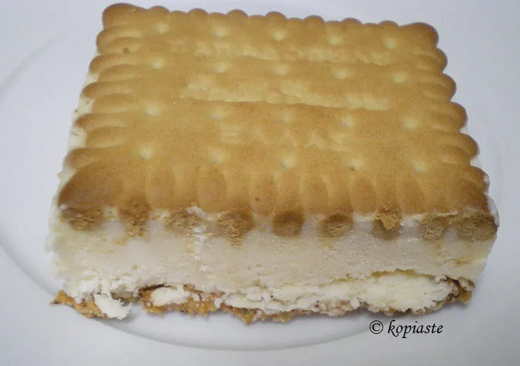 hand made ice-cream sandwich photo