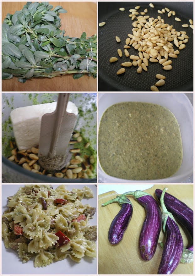 Collage Pesto with purslane and farfalle pasta image