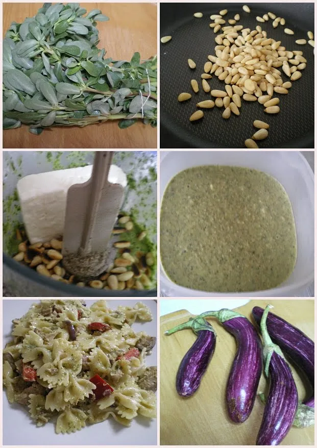 Collage Pesto with purslane and farfalle pasta image