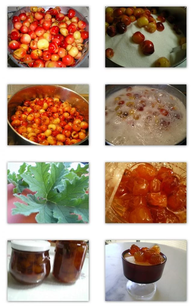 collage glyko kerassi with yellowish cherries image