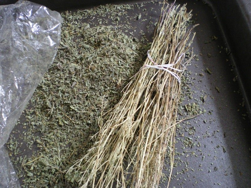 Dried oregano image