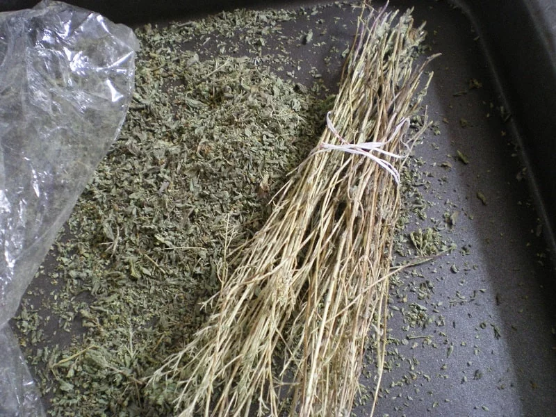Dried oregano image