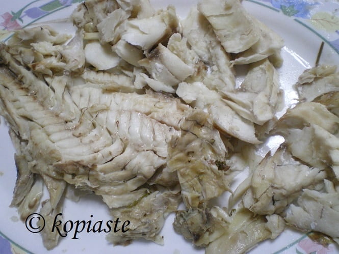 Rofos grouper