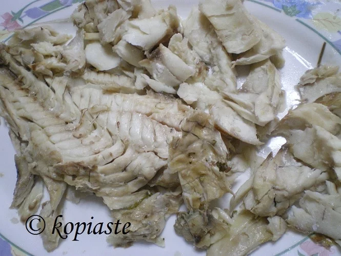 Rofos grouper