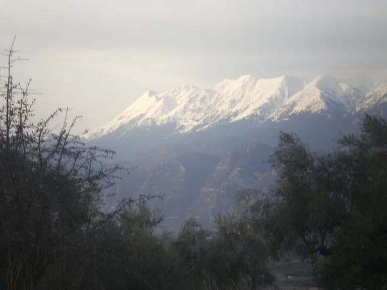 Taygettus during winter image