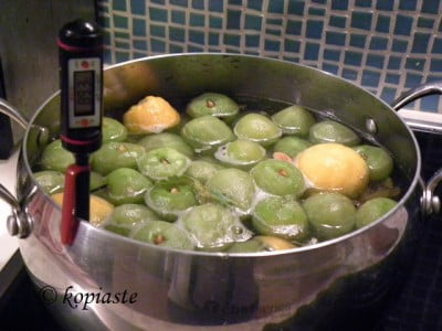 sykalaki with thermometre