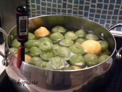 sykalaki with thermometre