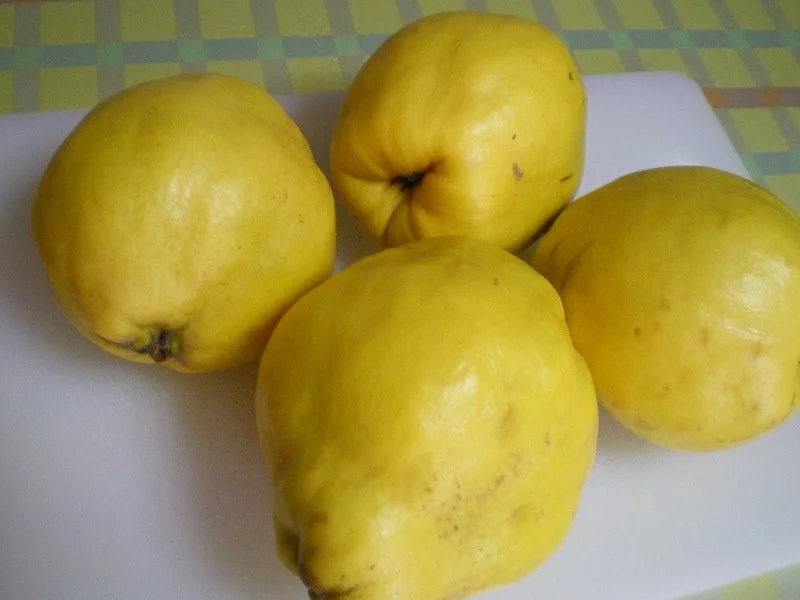quince image