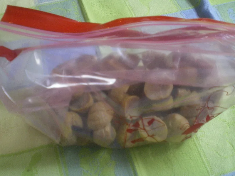 stored Chestnuts in zip lock bags image