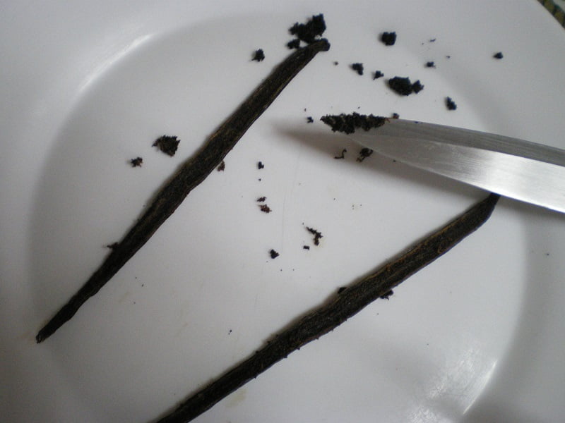 scraping vanilla bean image