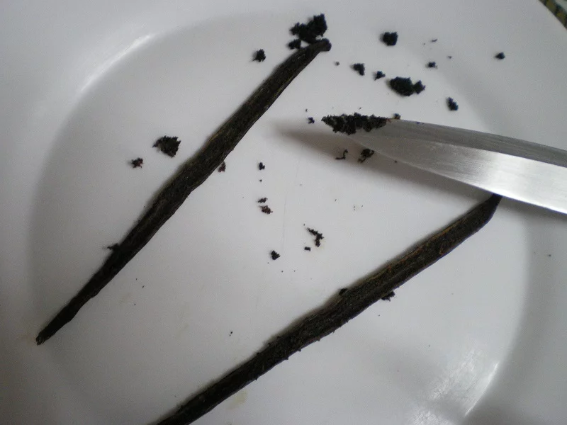 scraping vanilla bean image