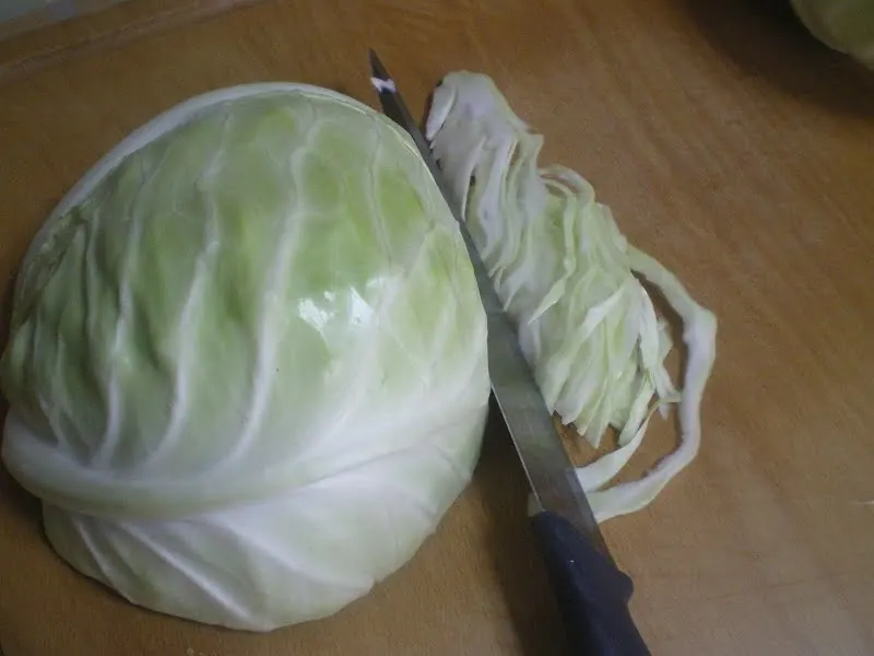 cabbage image