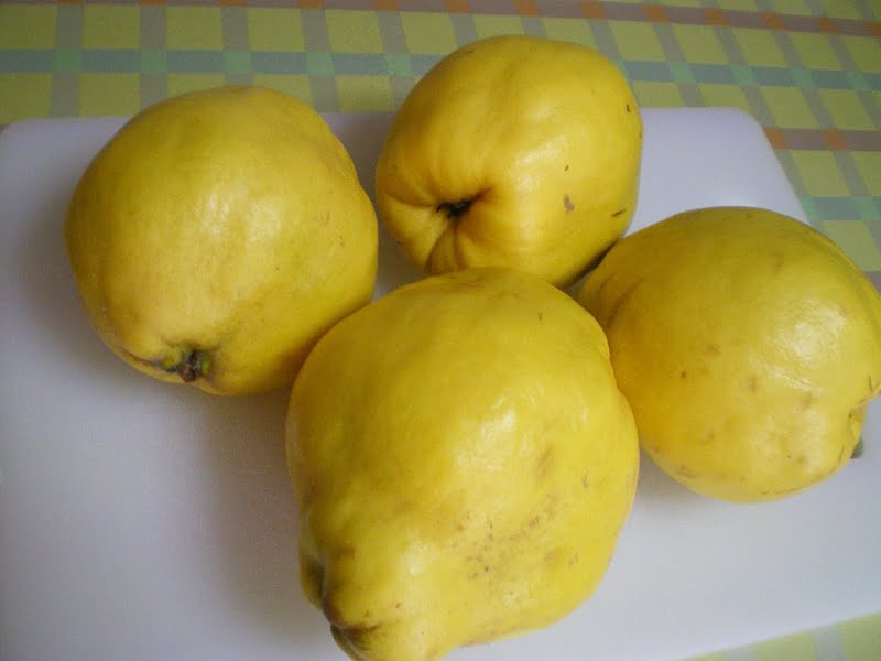 quince image