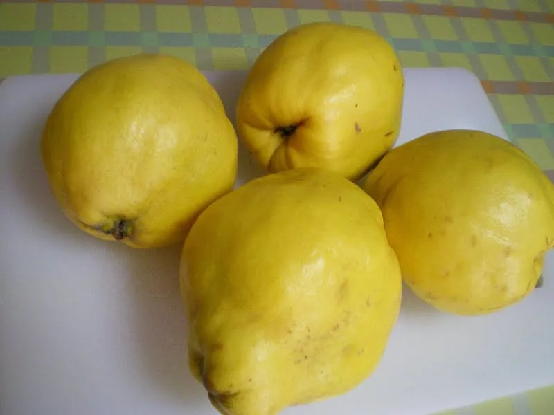 quince image