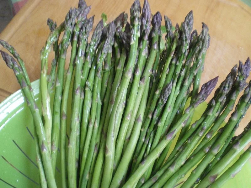 wild asparagus