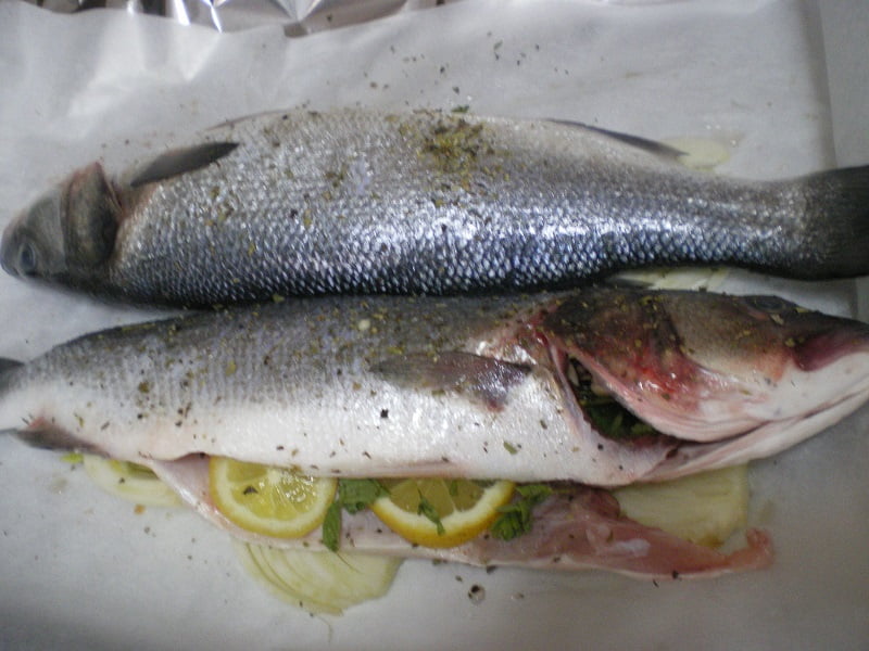 Lavraki sea bass image