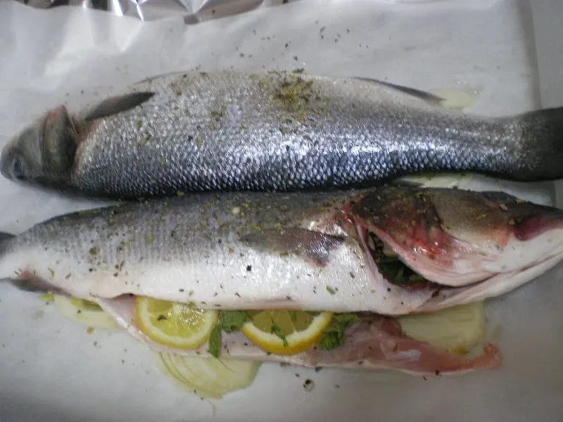 Lavraki sea bass image