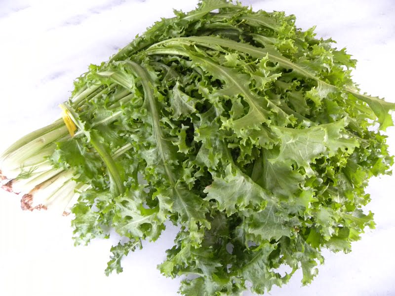 Antidia curly endives image
