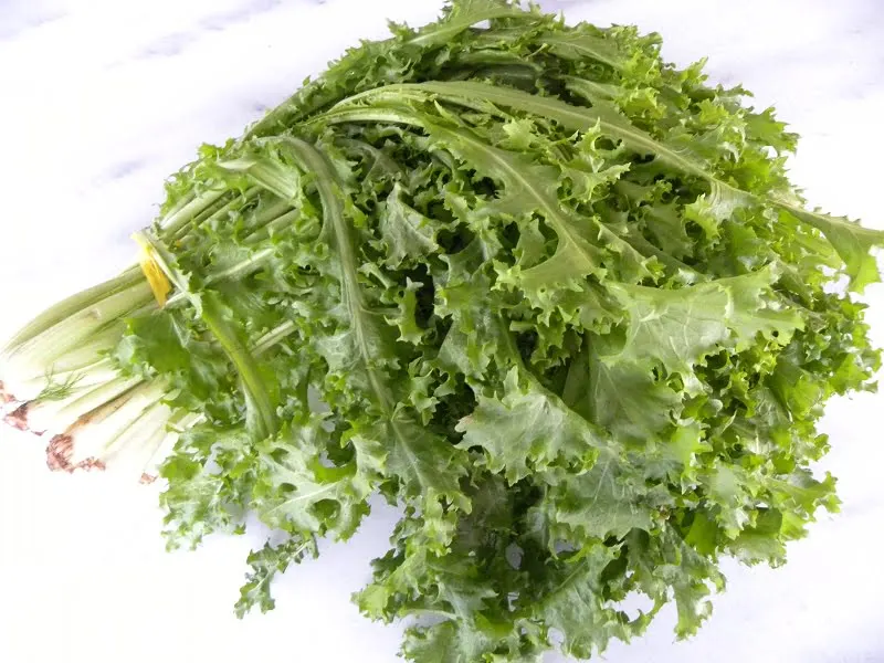 Antidia curly endives image