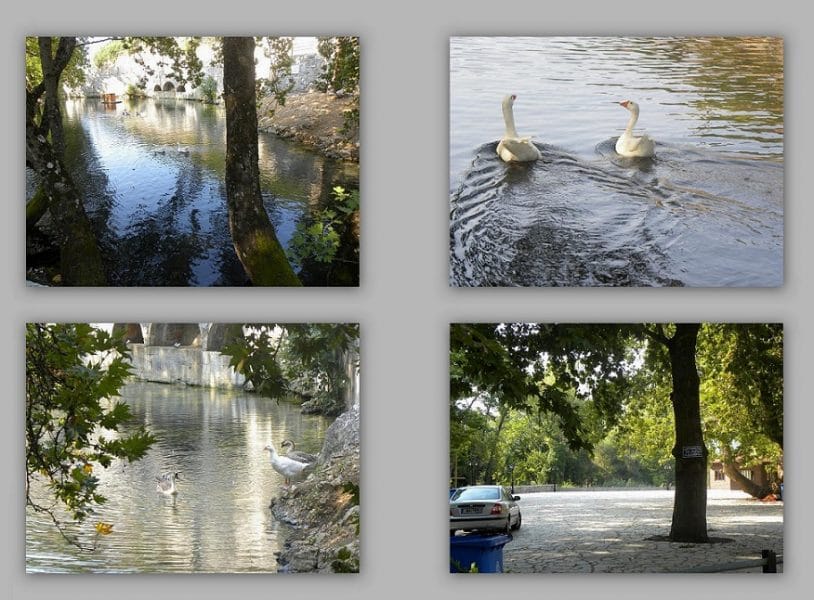 The springs of Evrotas river