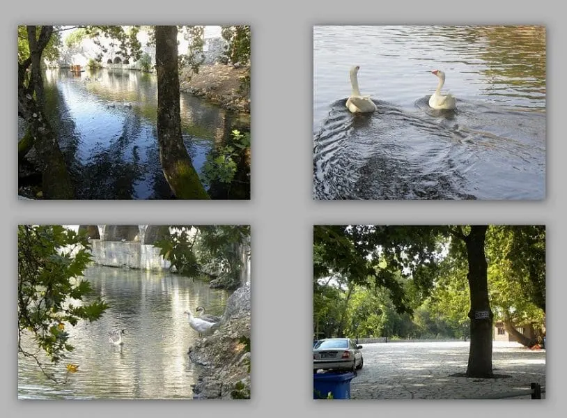 The springs of Evrotas river