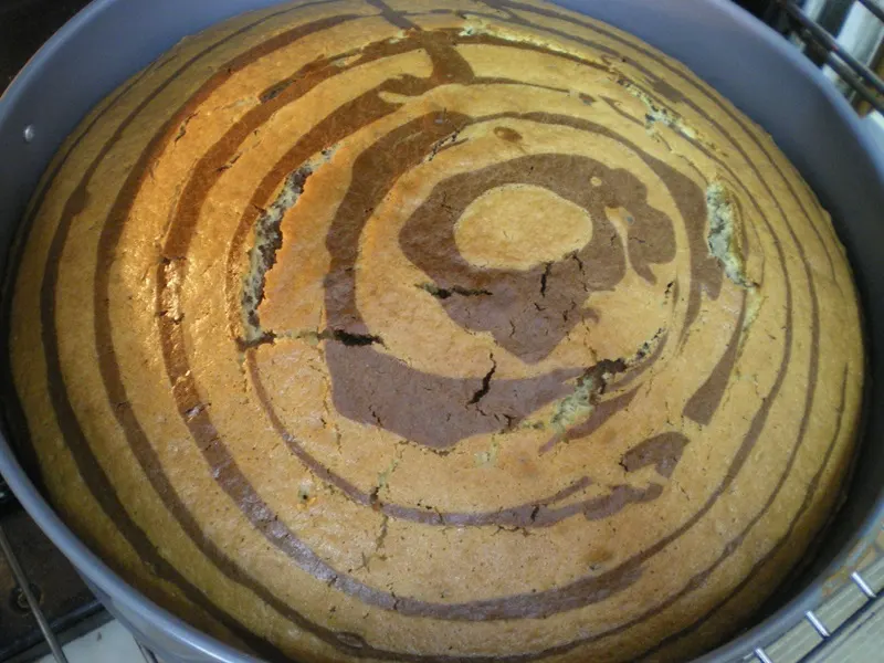 zebra-1 zebra cake baked image