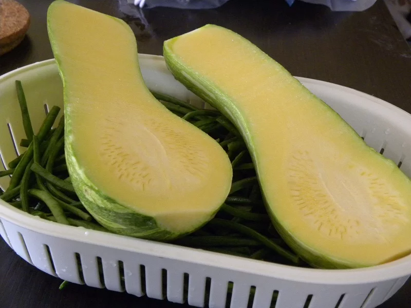 Politiko marrow cut with ampelofassoula image