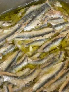 Gavros ladorigani with garlic image