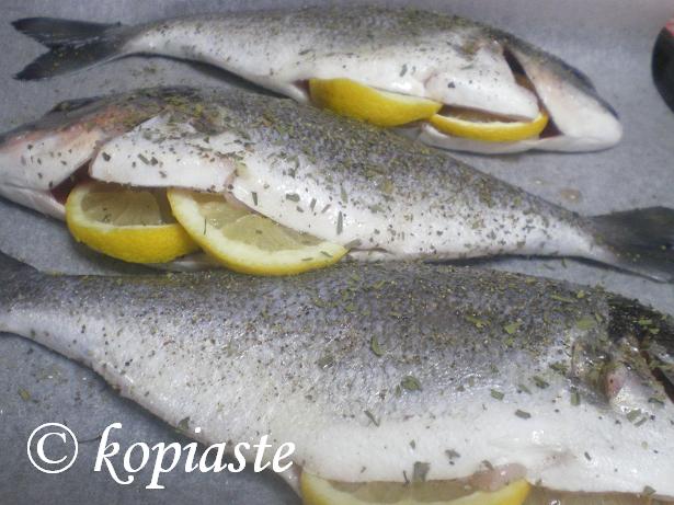 Tsipoura (Gilt-head bream)
