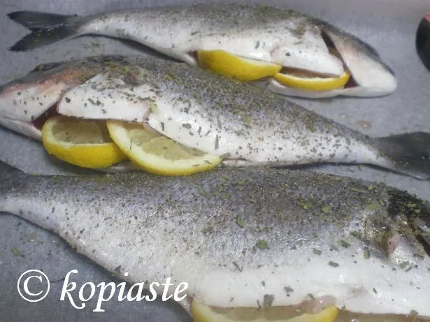 Tsipoura (Gilt-head bream)