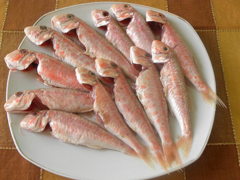 koutsomoures mullet image